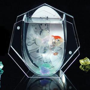 OEM形状亚克力新品水养鱼缸鱼水池热门OEM展示架