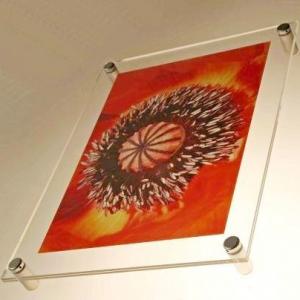 定制订制OEM-181亚克力签名签署菜单小册子架资料(或广告)手册展台